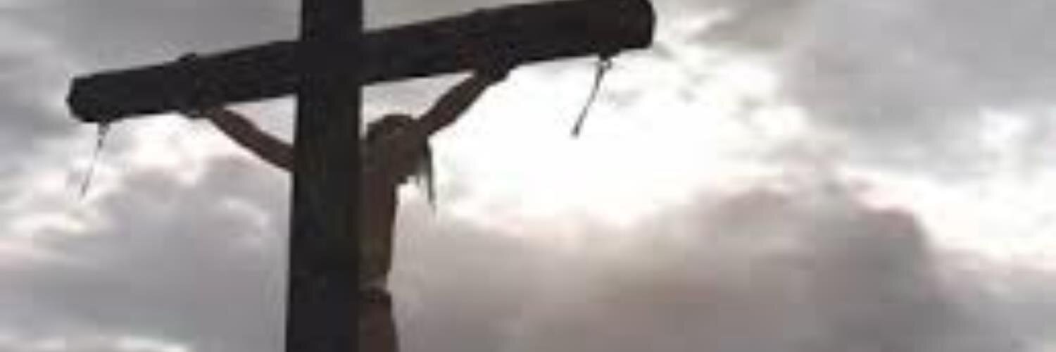 Matthew Lane 🦬 banner