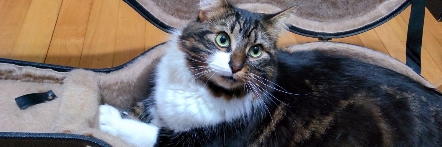 aurabeth.bsky. social banner