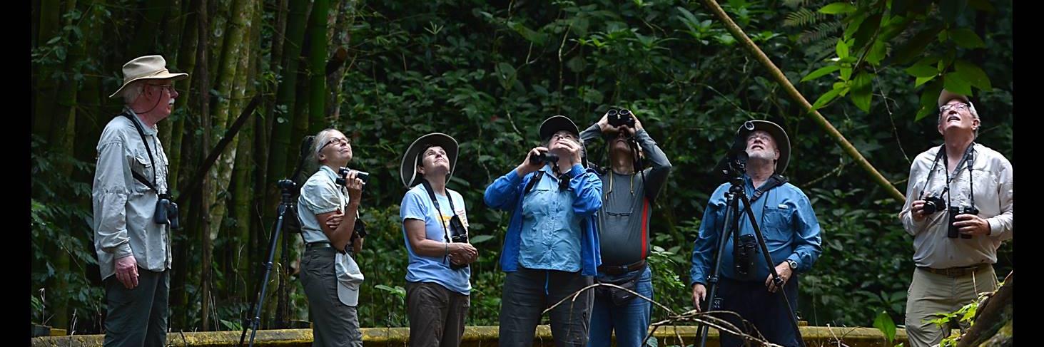 BirdingPRcom's profile banner image