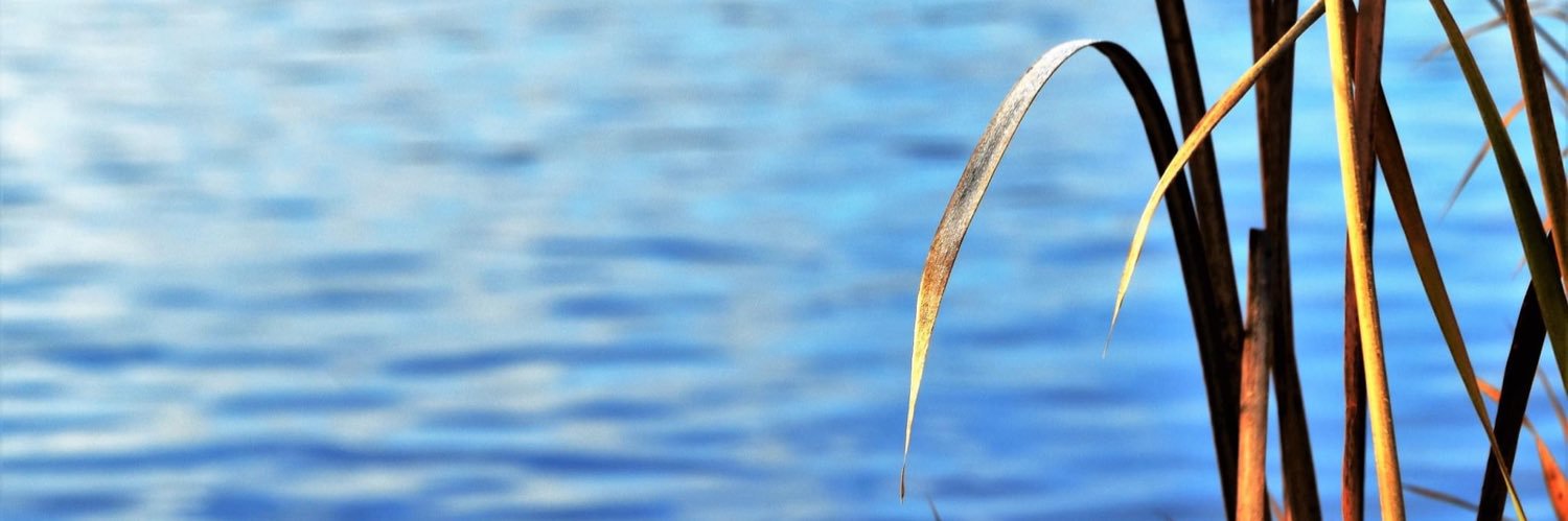 LuziaM's profile banner image