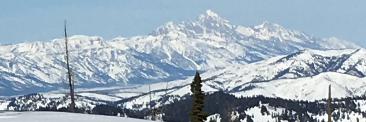 Beels339's profile banner image