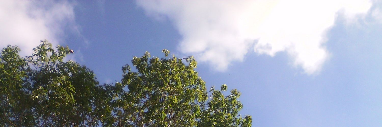 LuisUrdanetaAp's profile banner image