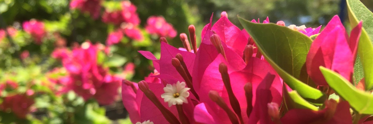 valliCruuz's profile banner image