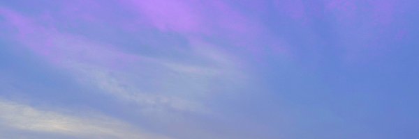whitesparkle_3 Profile Banner