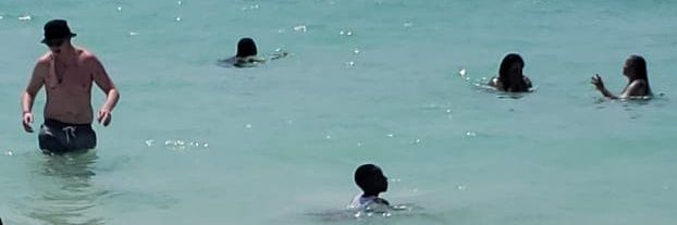 💚💛🖤Bloodline 🦍🦁🌍👑💰 banner