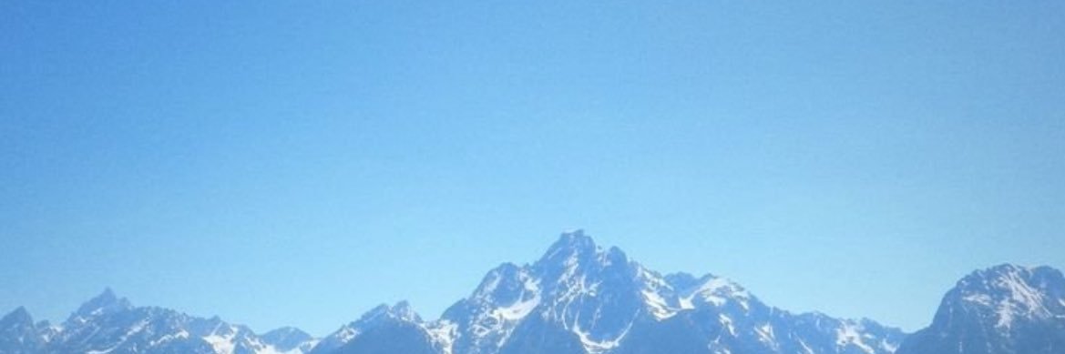 ppi_aa42964's profile banner image