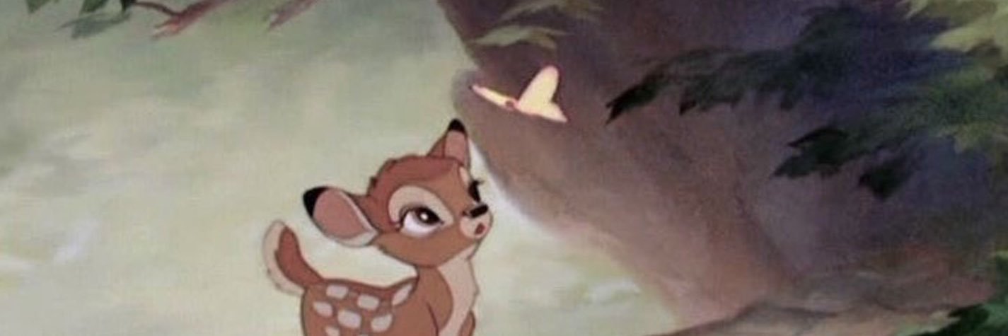 kittenabell's profile banner image
