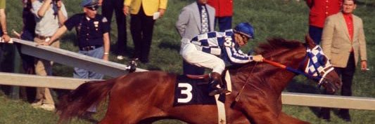 Equus banner