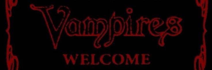 vladvampp's profile banner image