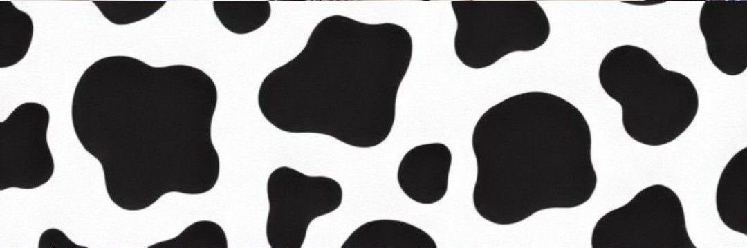 maia ⟡⁎◌ || daily bon jovi!'s banner