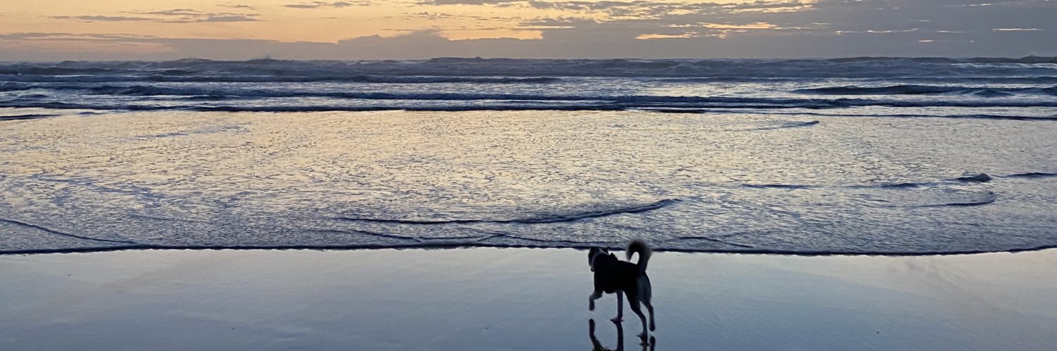 Virge fx 🇫🇷 banner