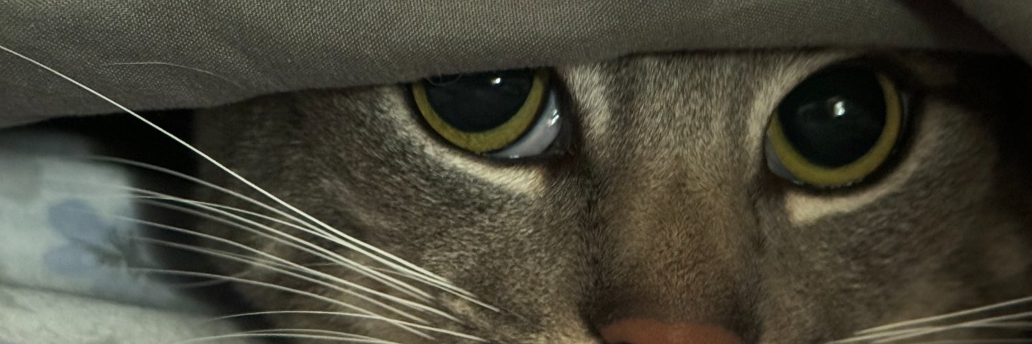 Dione413 banner