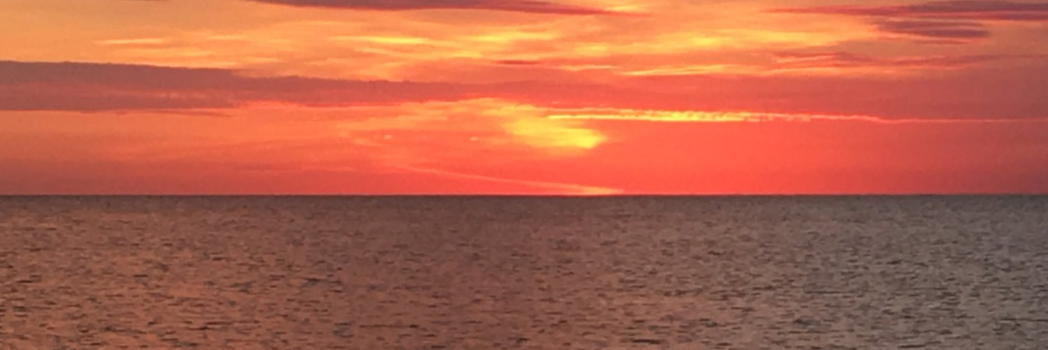 tripberger's profile banner image