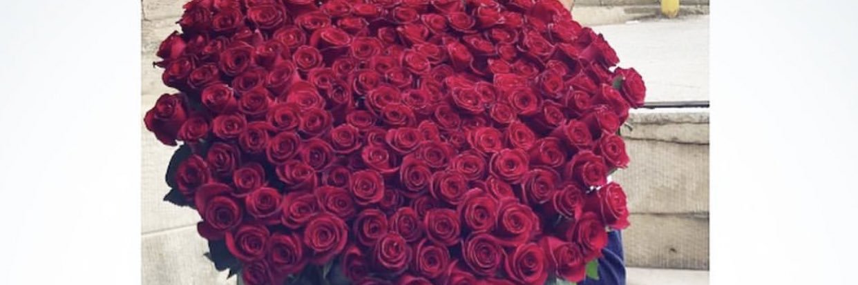 MissHolly_'s profile banner image
