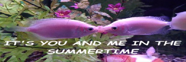 jerkingmyberk Profile Banner