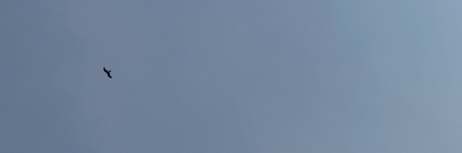 Țhat Țemi banner