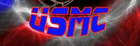 Steve Curtiss banner