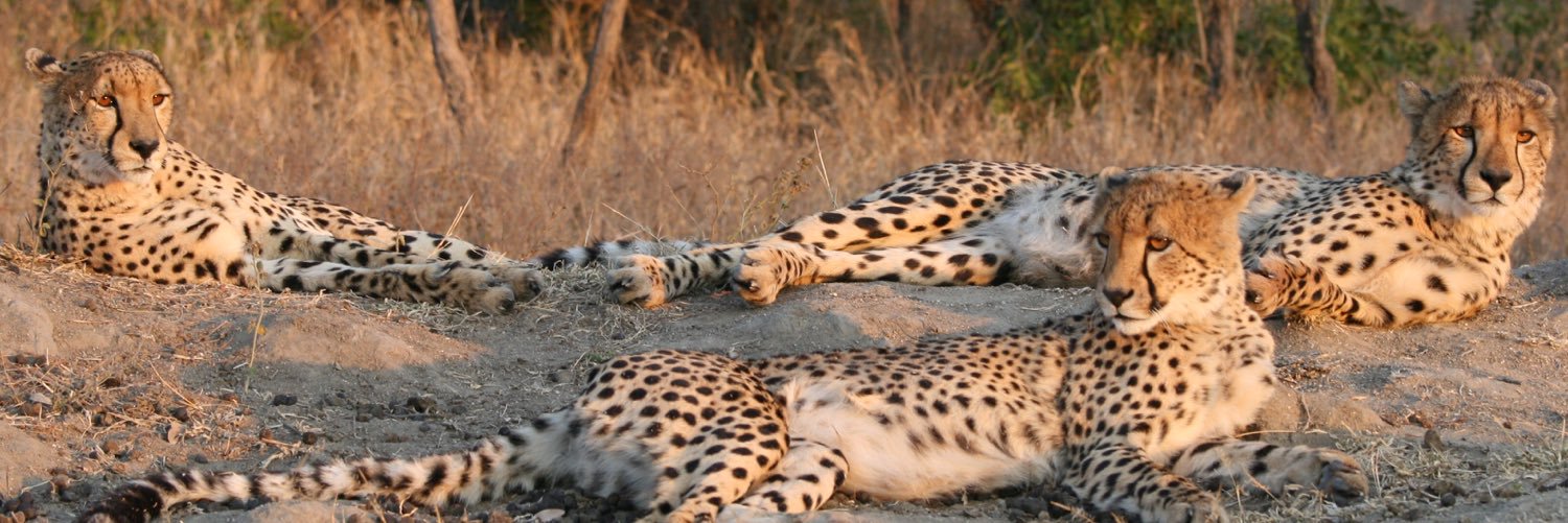 DougRumsam78's profile banner image