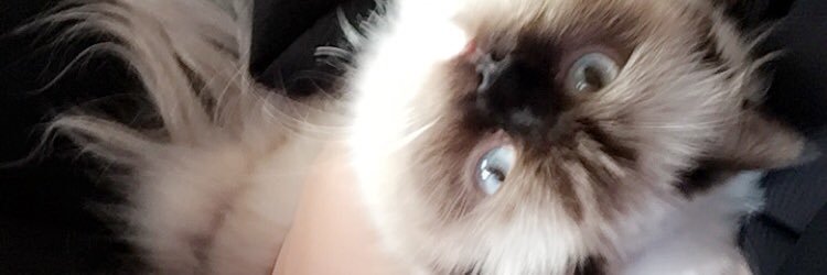 Eithar_92's profile banner image