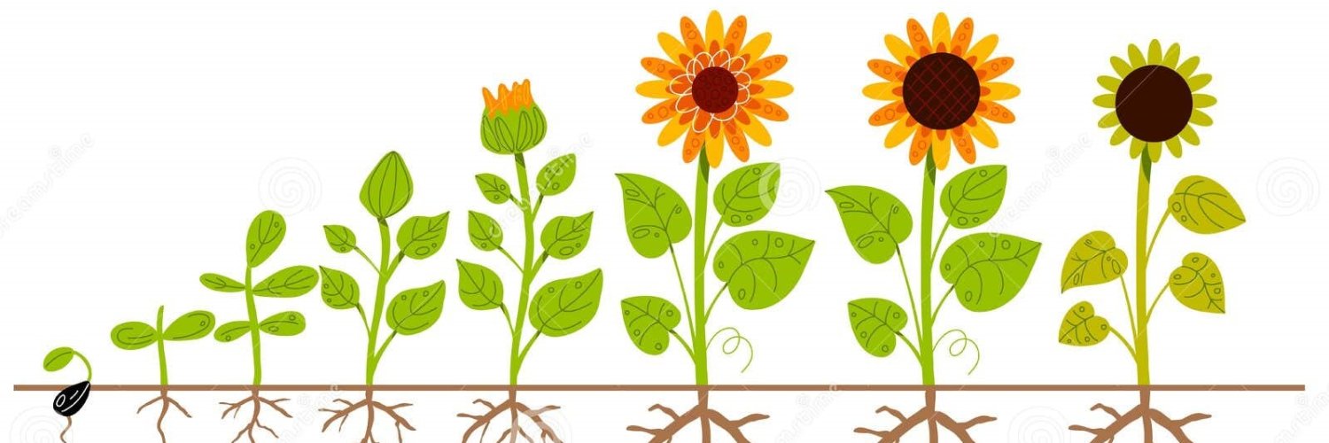 TerraFederation banner