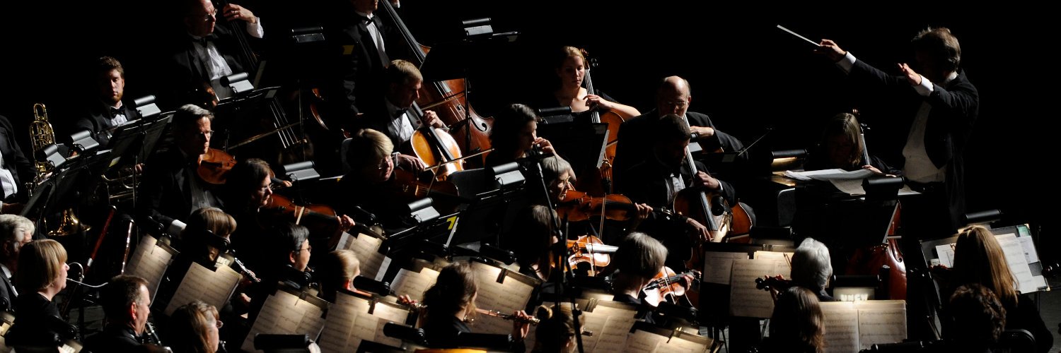 Wilmington Symphony banner