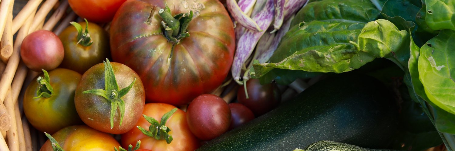 Food Secure Canada banner