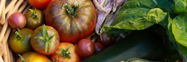 FoodSecureCAN Profile Banner