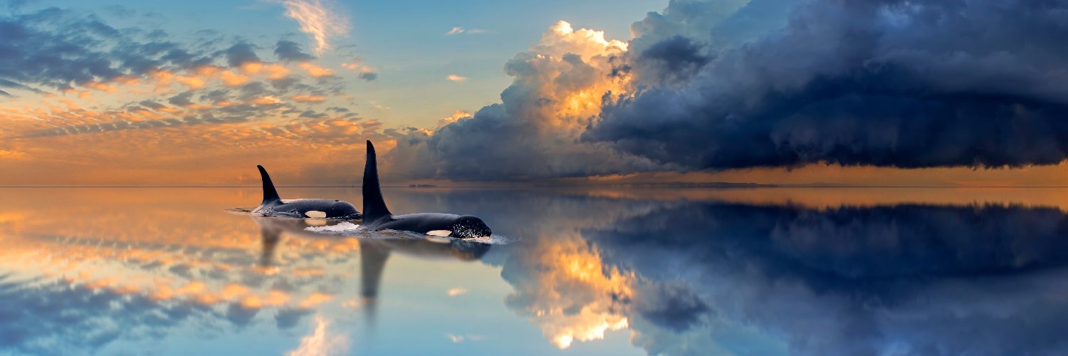 Healthpreneur's profile banner image