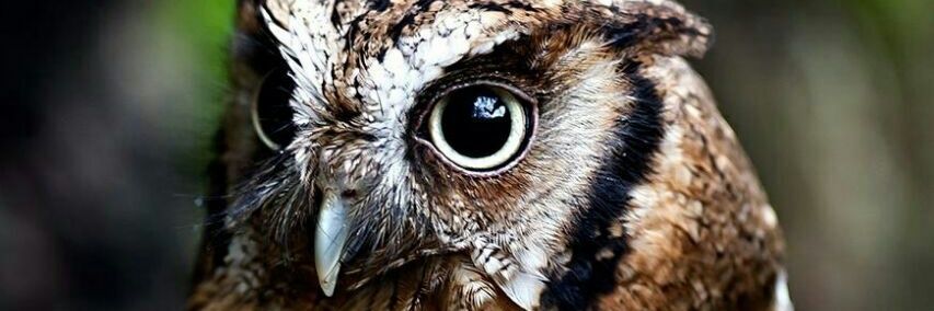 educar23's profile banner image