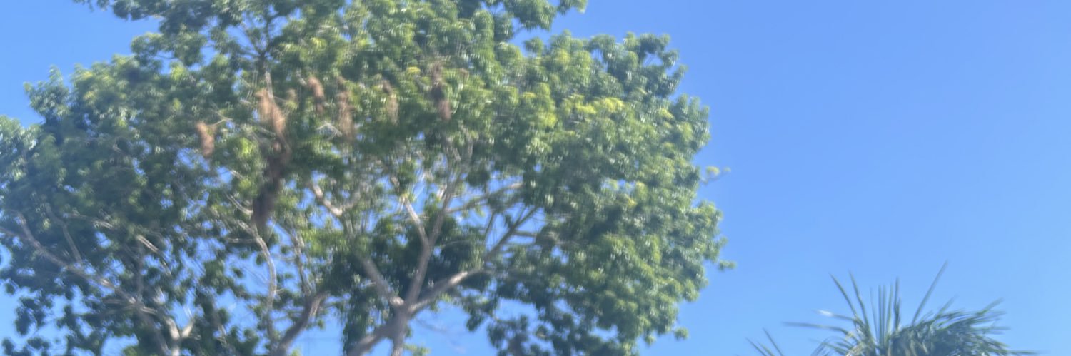 rochio_23's profile banner image