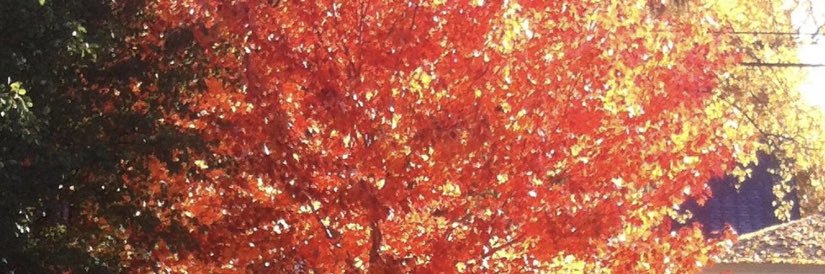 SajjadHashimi's profile banner image