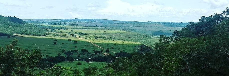 Osmar Bernardes Jr. 🇧🇷 banner