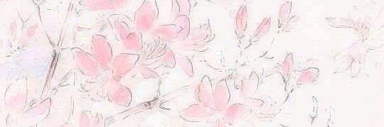zendzonez's profile banner image