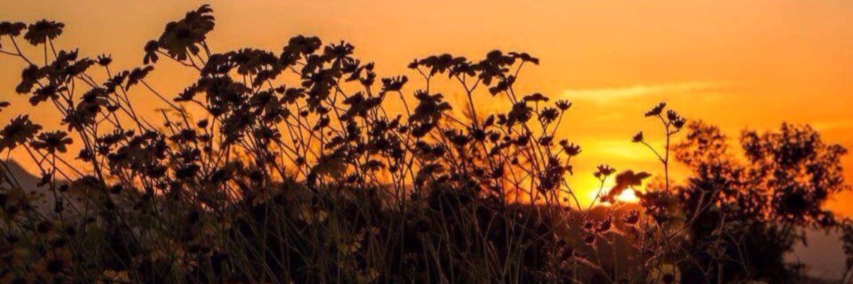MrsSaharaV's profile banner image