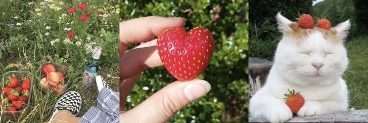 Lila in recovery ౨ৎ banner