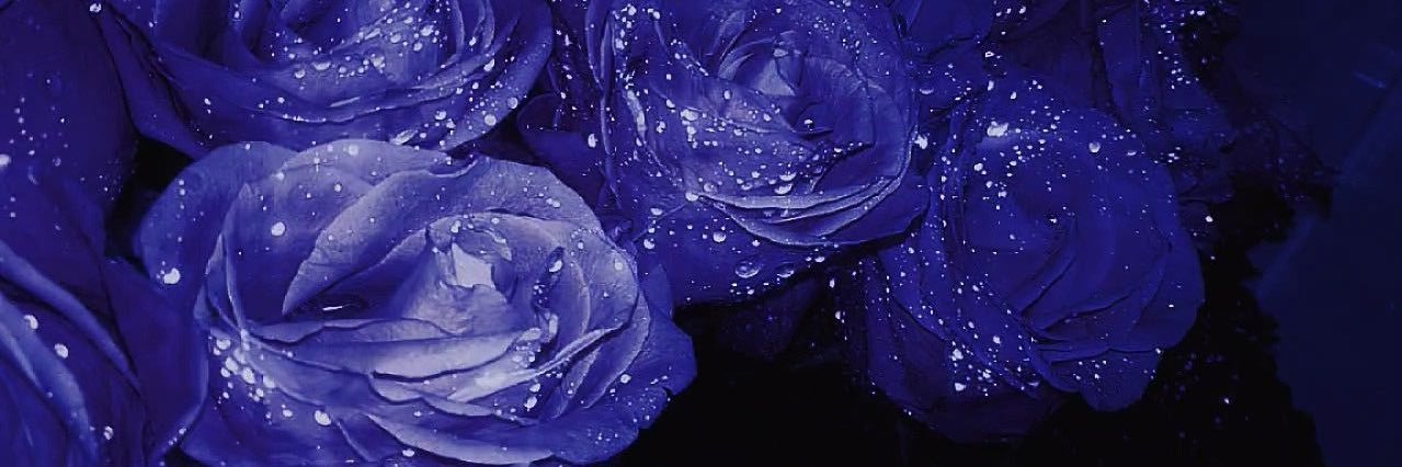 starrympression's profile banner image