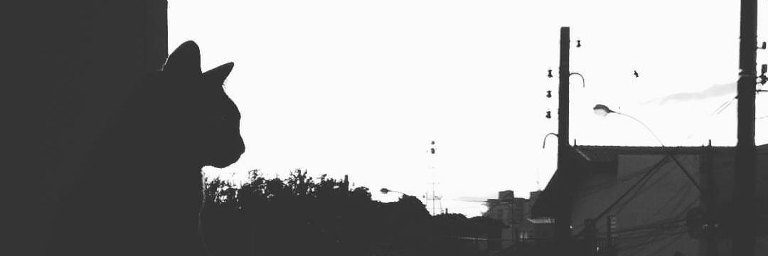 redherrera's profile banner image