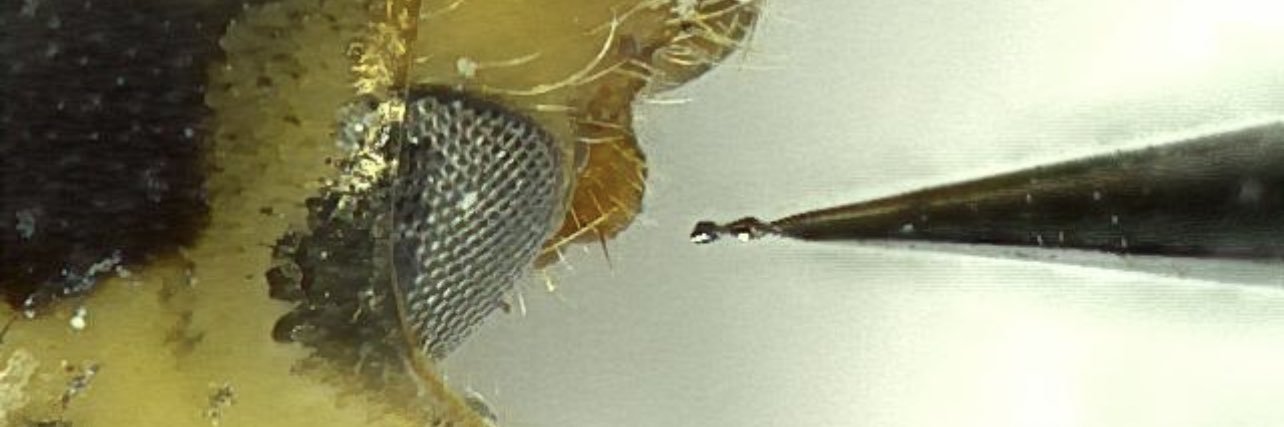 Microtoolmaker's profile banner image