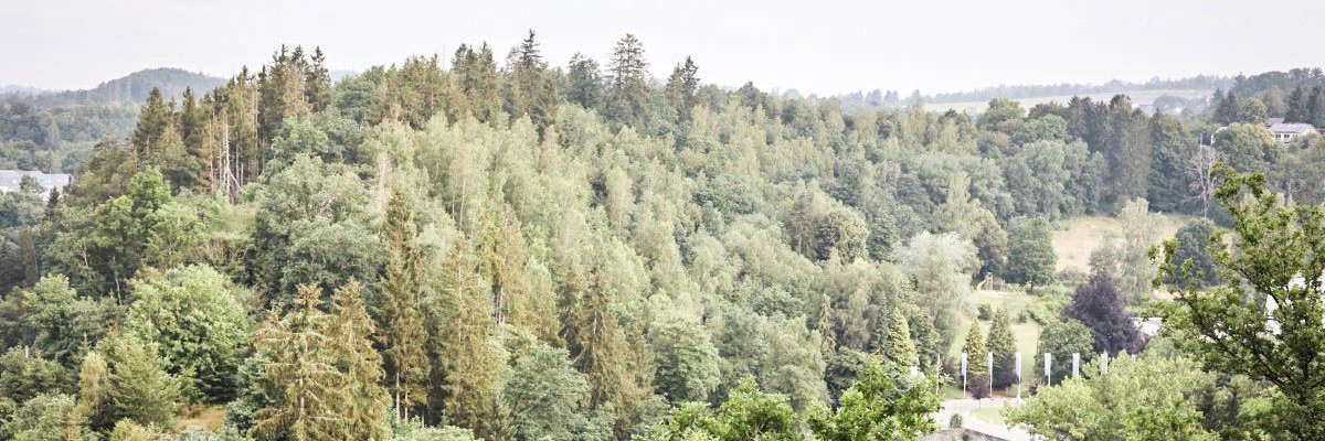 kfoncer's profile banner image