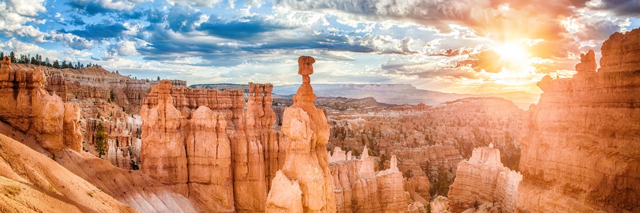 UtahsCUs's profile banner image