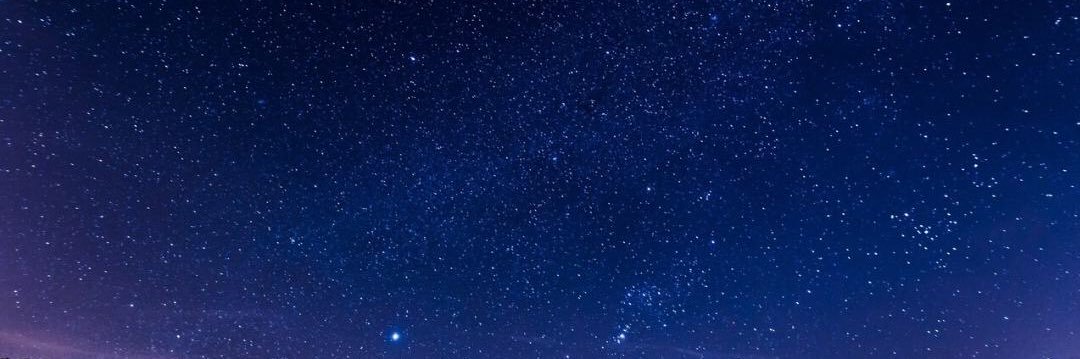 𝒲𝒾𝓁𝓁 banner
