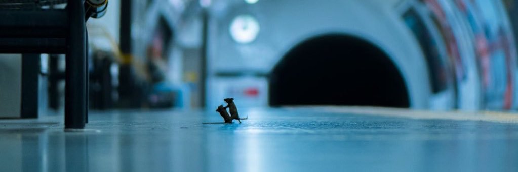 michaelmend0za's profile banner image