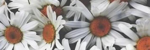 aly_moore's profile banner image