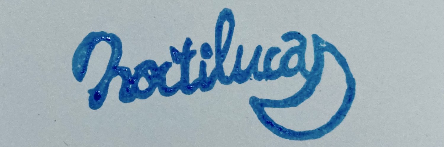 Noctiluca banner
