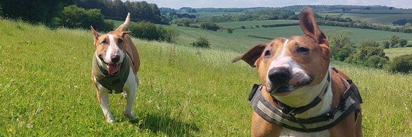 AaronAndHounds Profile Banner
