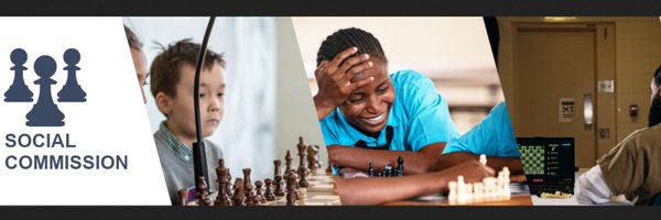 FIDESocialChess Profile Banner