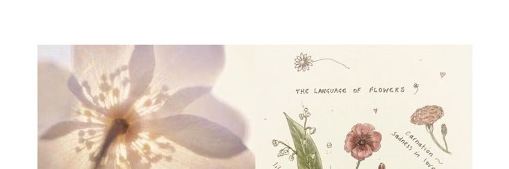 yuenverse's profile banner image
