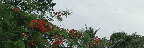 0x_addi Profile Banner