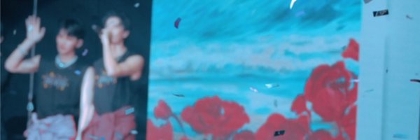 ailuo217 Profile Banner