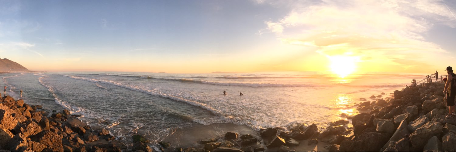 Robert Reed Altman banner